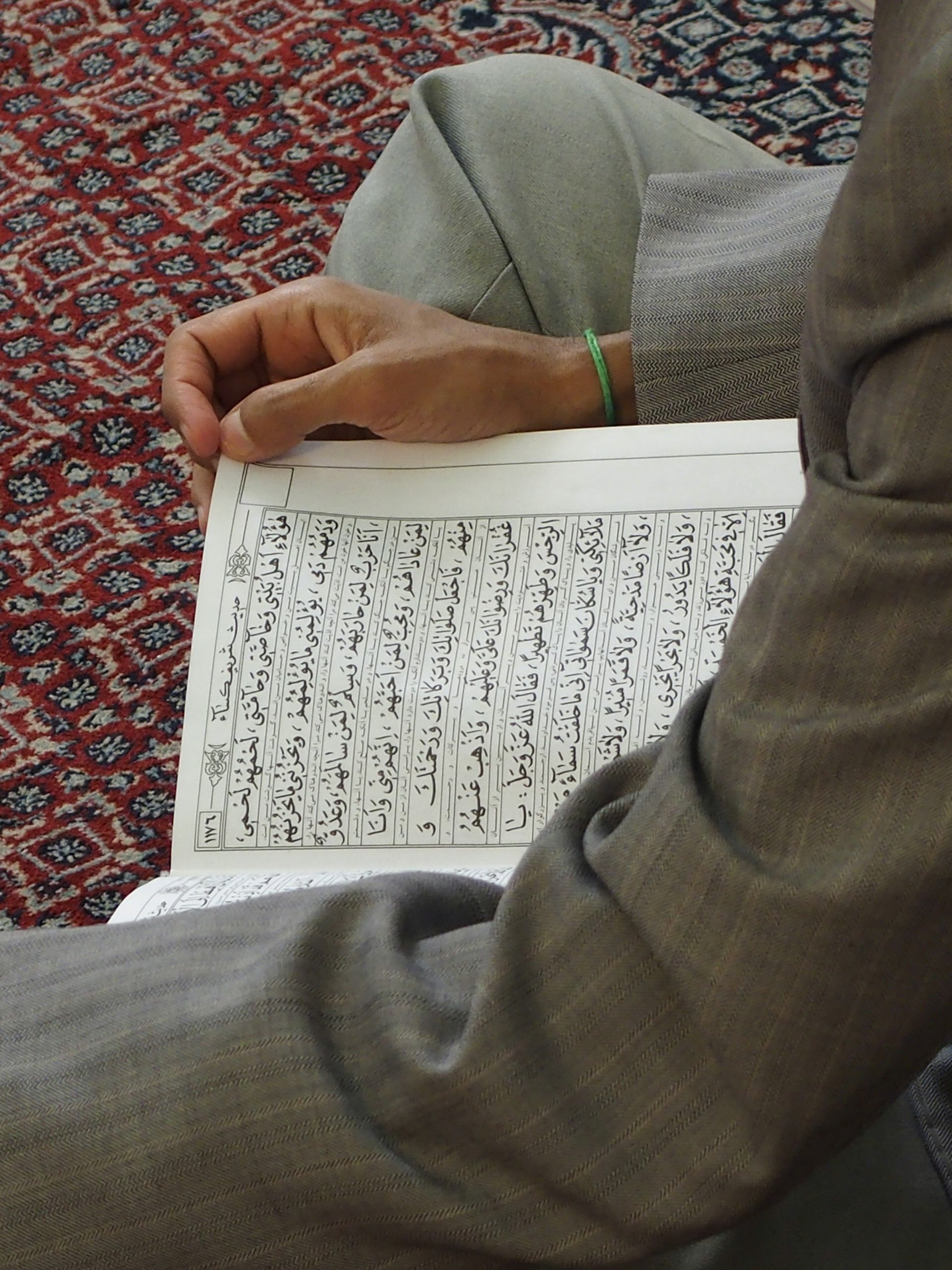 daily Quran habit